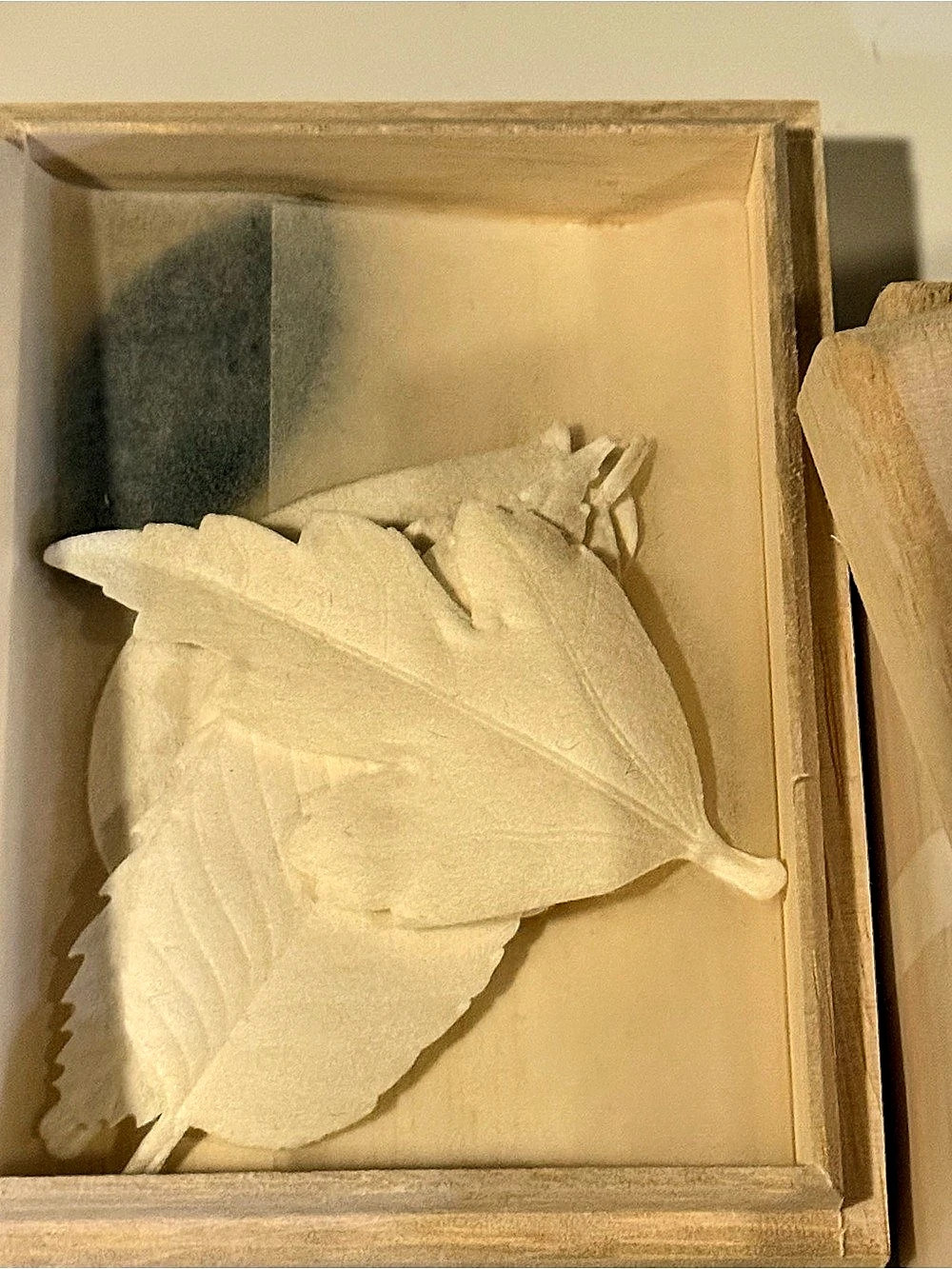 HA KO Paper Incense Wooden Box Set Carved Leaf Decor in Cream & Brown Like New -